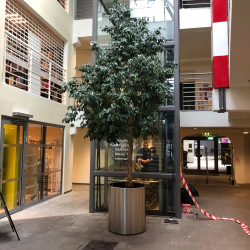 Kontorflytning - Flytning af træ