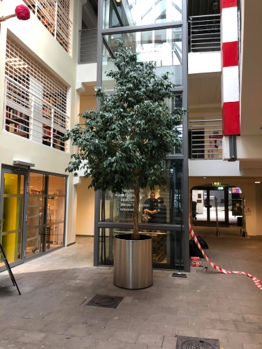 Kontorflytning - Flytning af træ